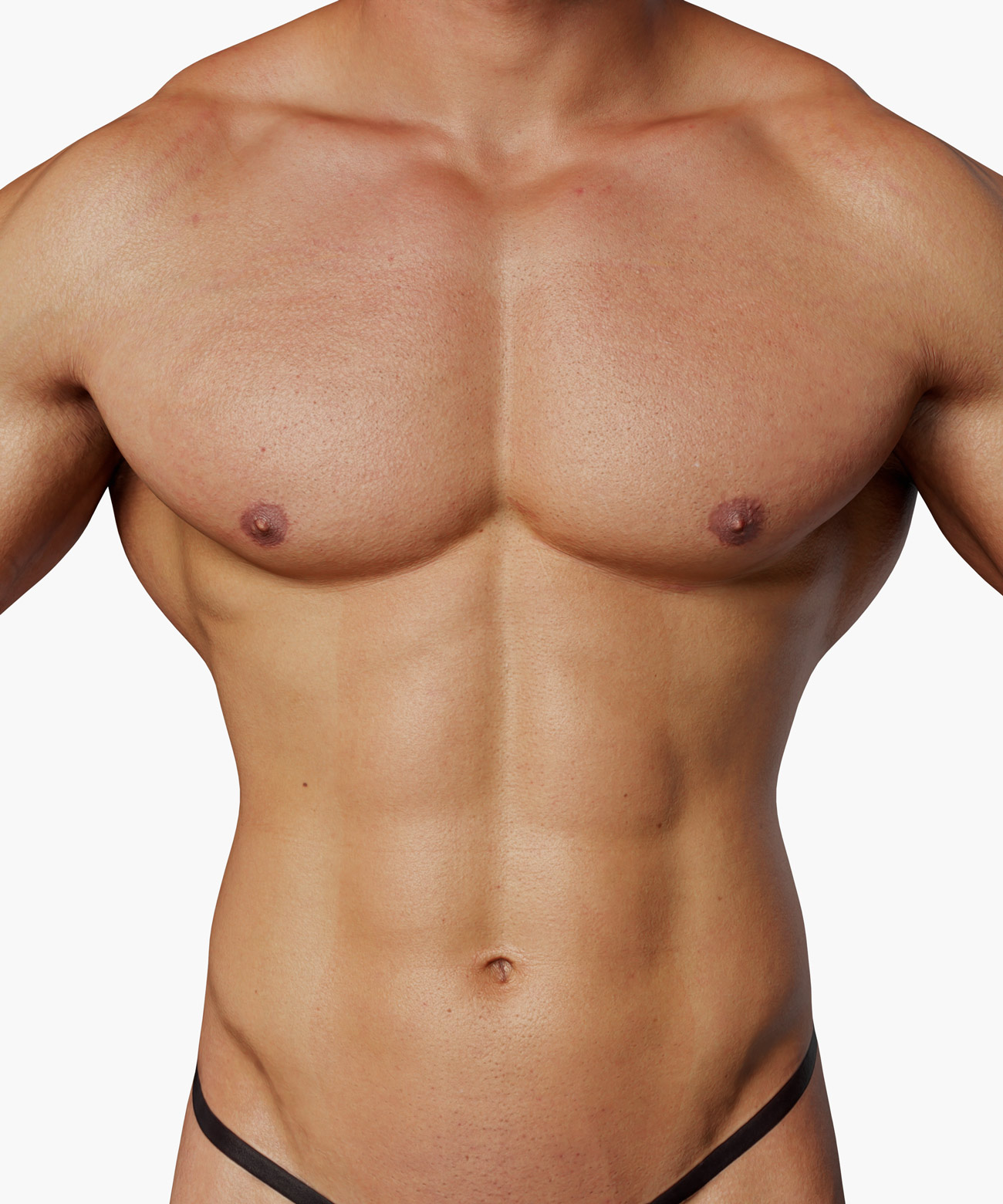 Torso 3d model body scan download